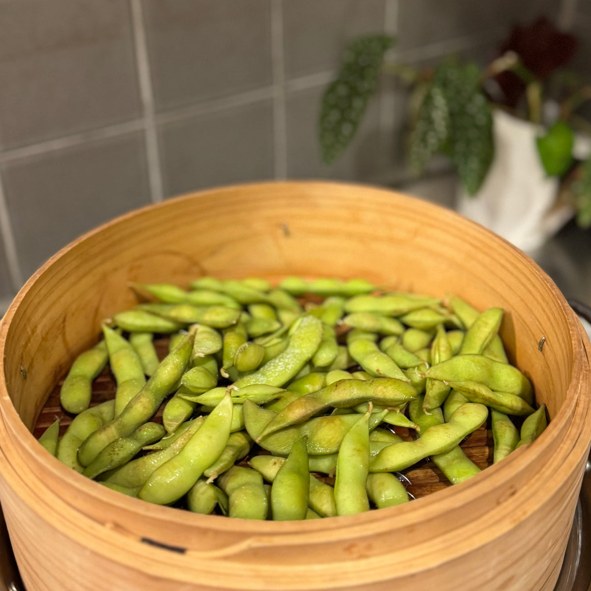 蒸籠 24cm　横溝篩店