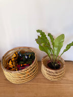 スンバラ豆バスケット（大)