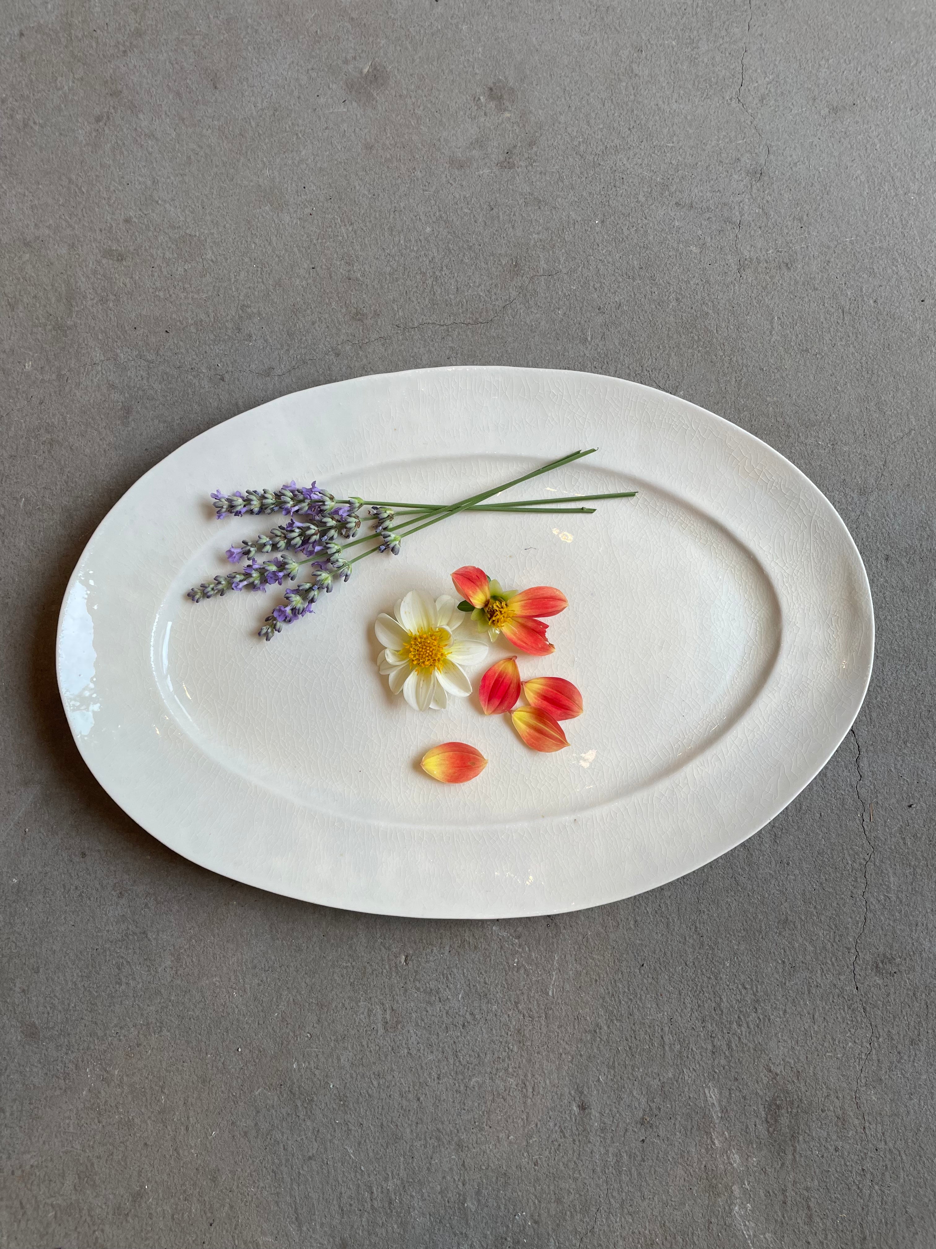 白磁オーバル皿