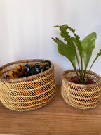 スンバラ豆バスケット（小）