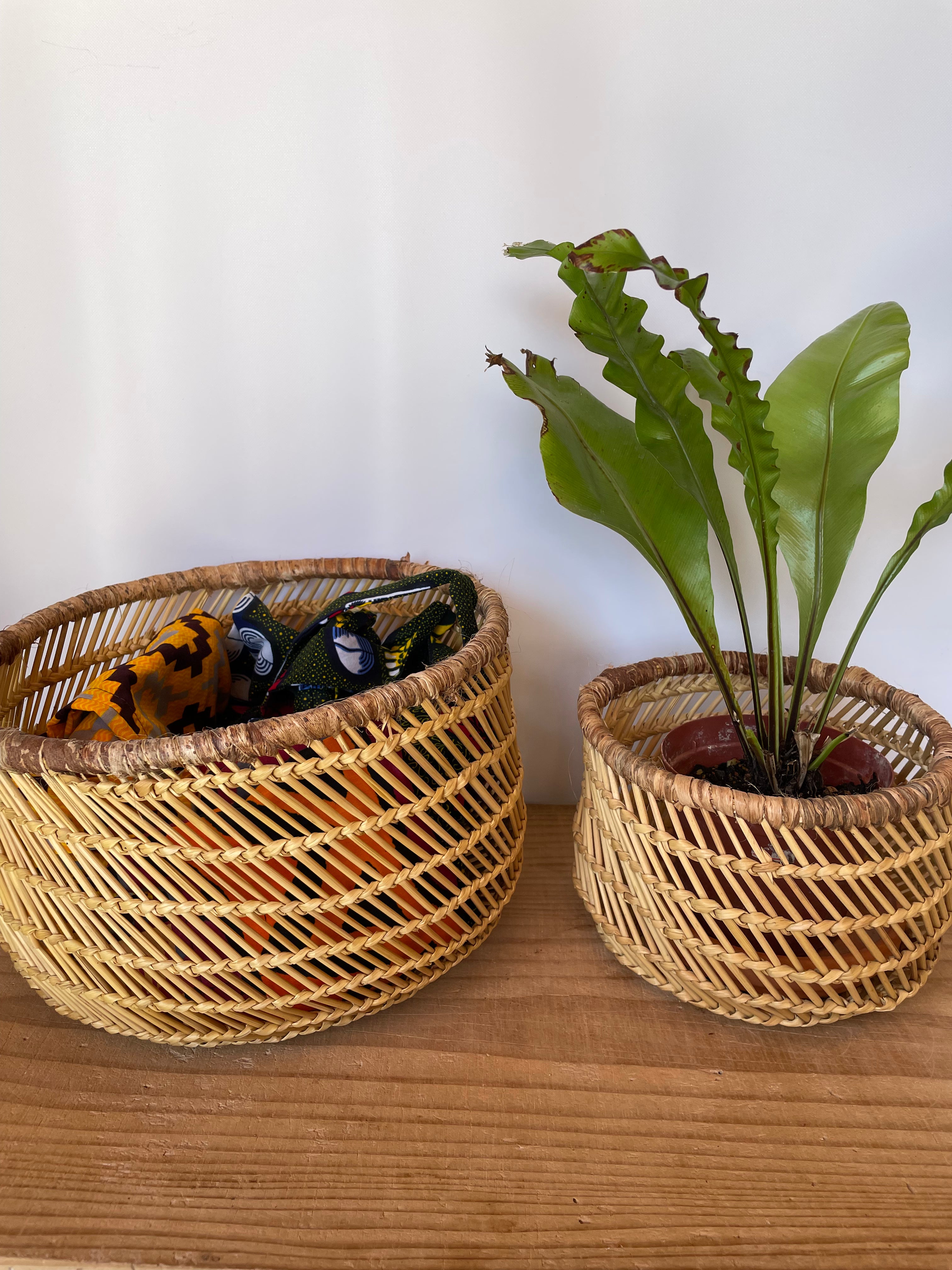 スンバラ豆バスケット（小）