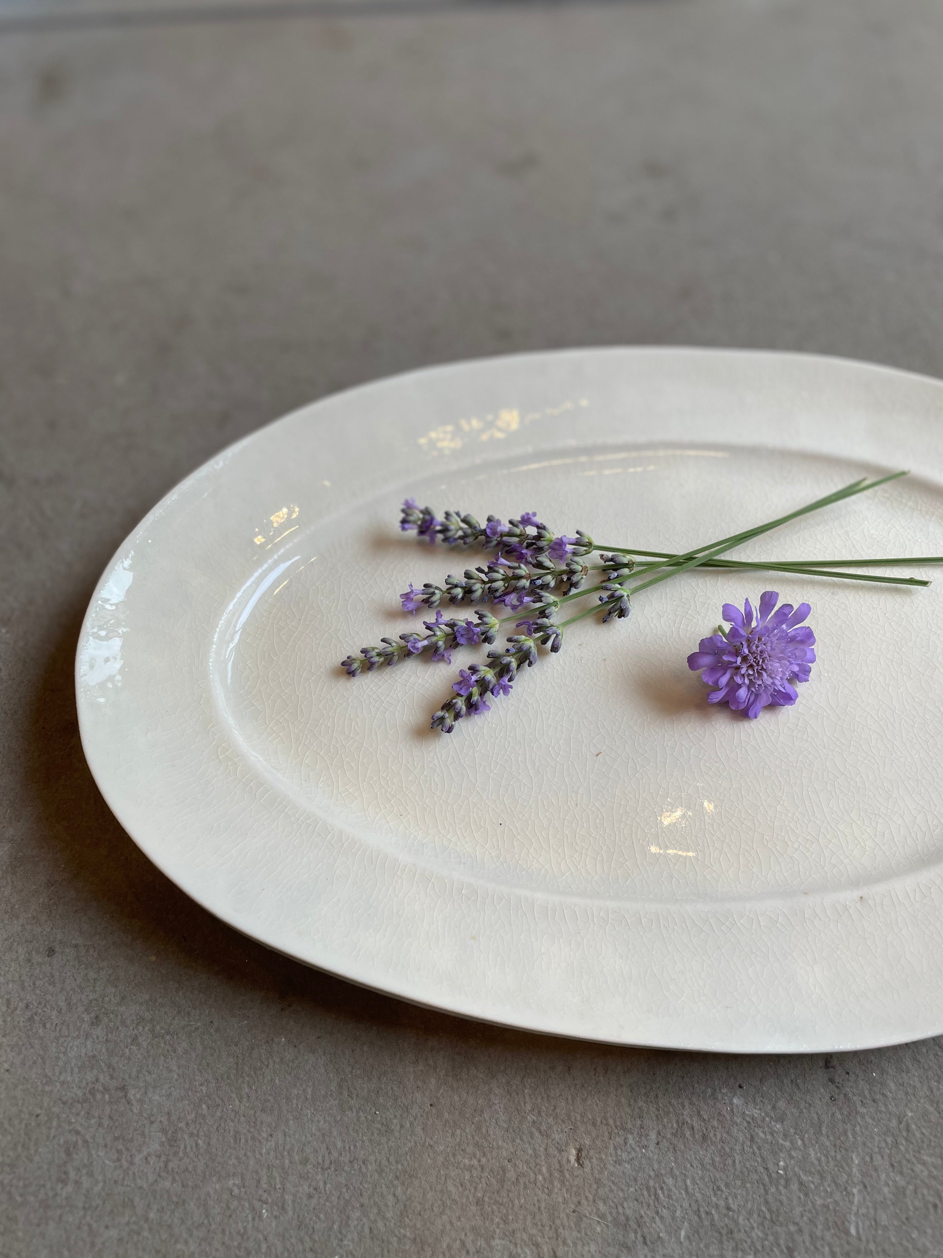 白磁オーバル皿