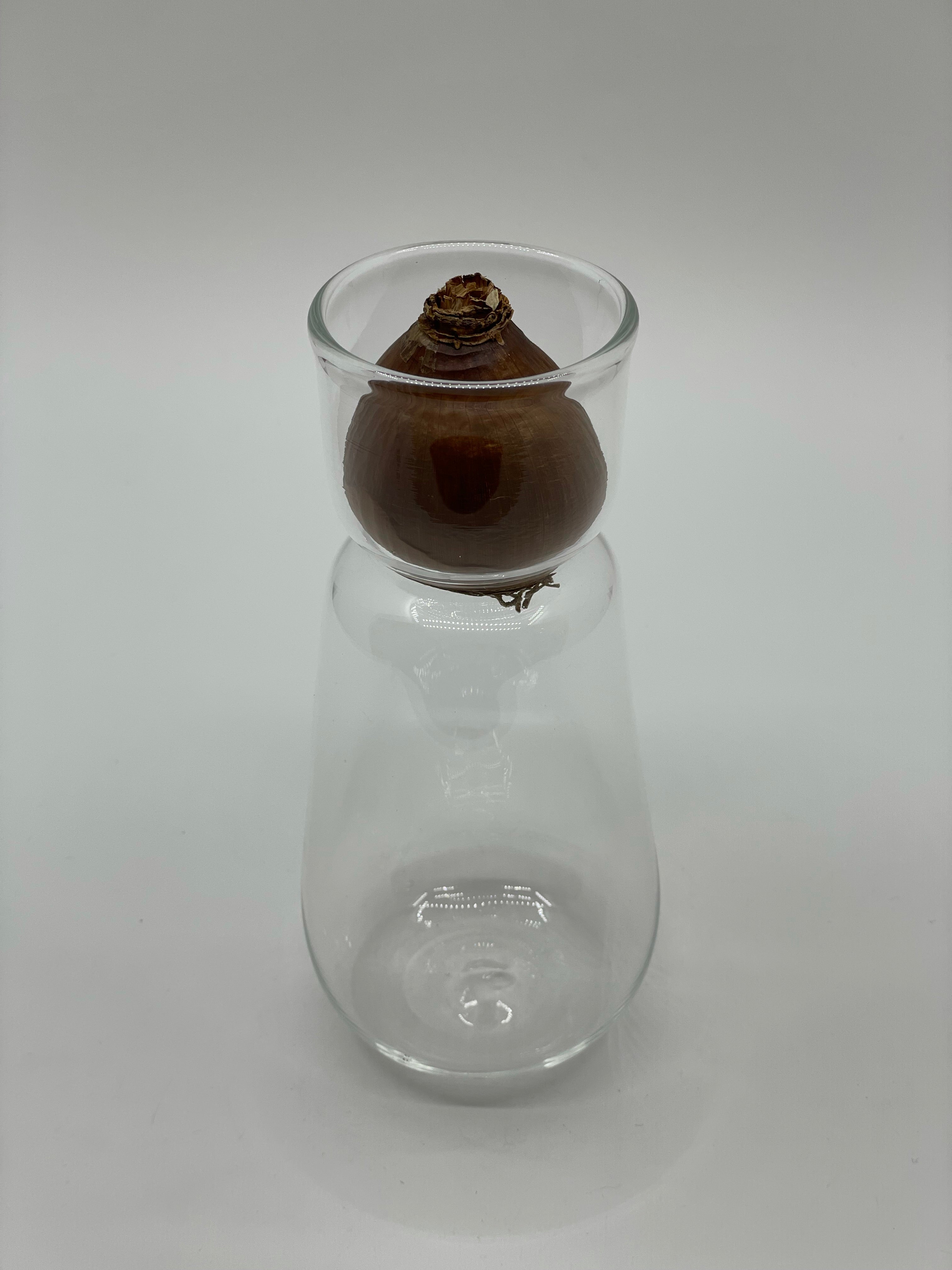 スイセンポット3