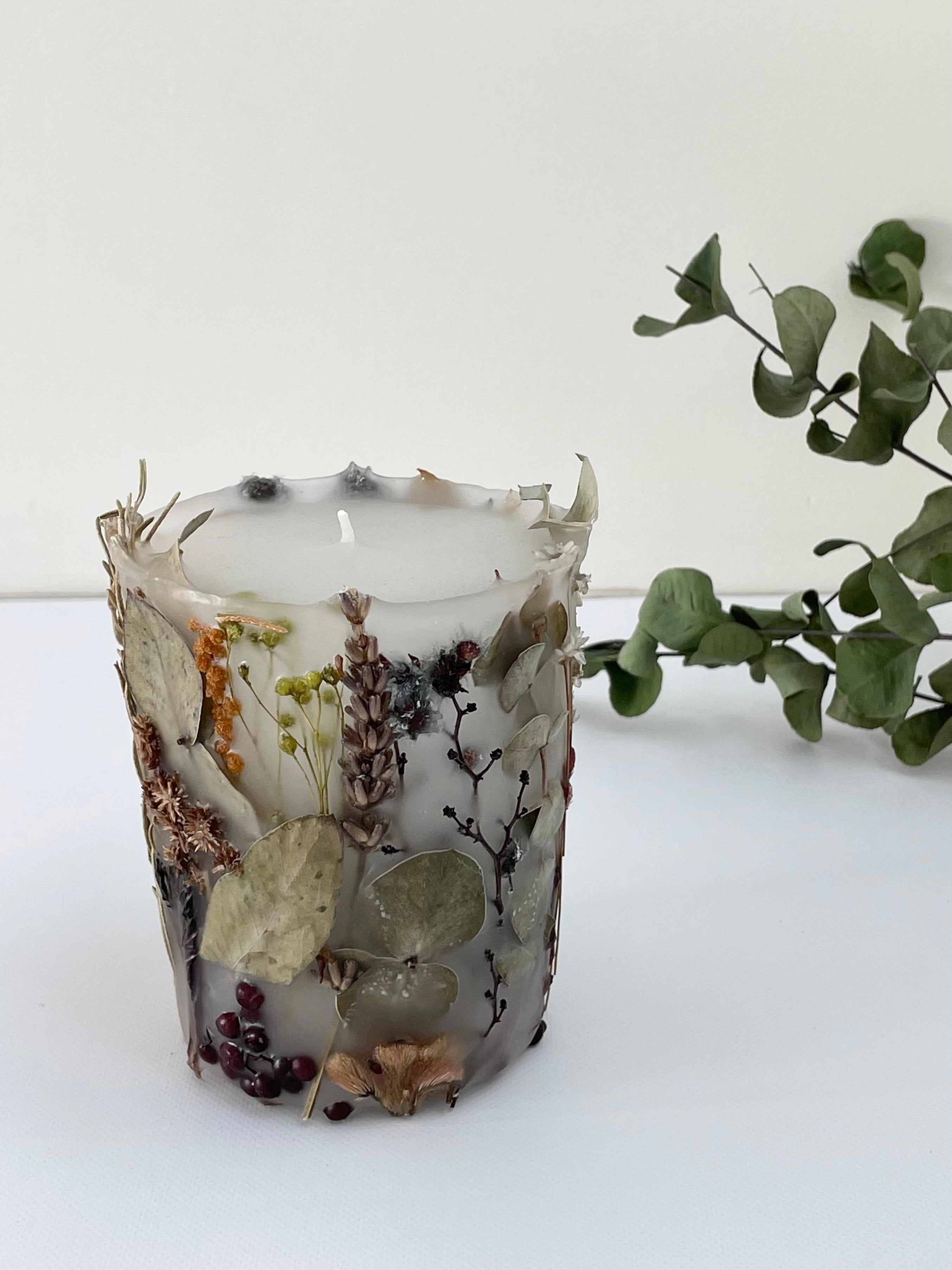 植物標本キャンド1