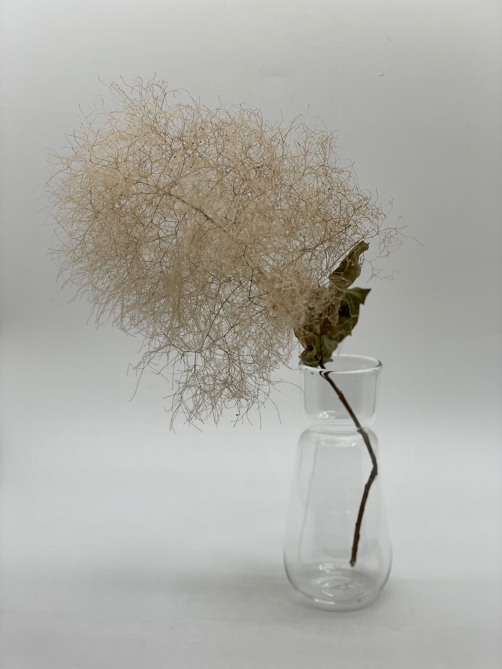 スイセンポット3