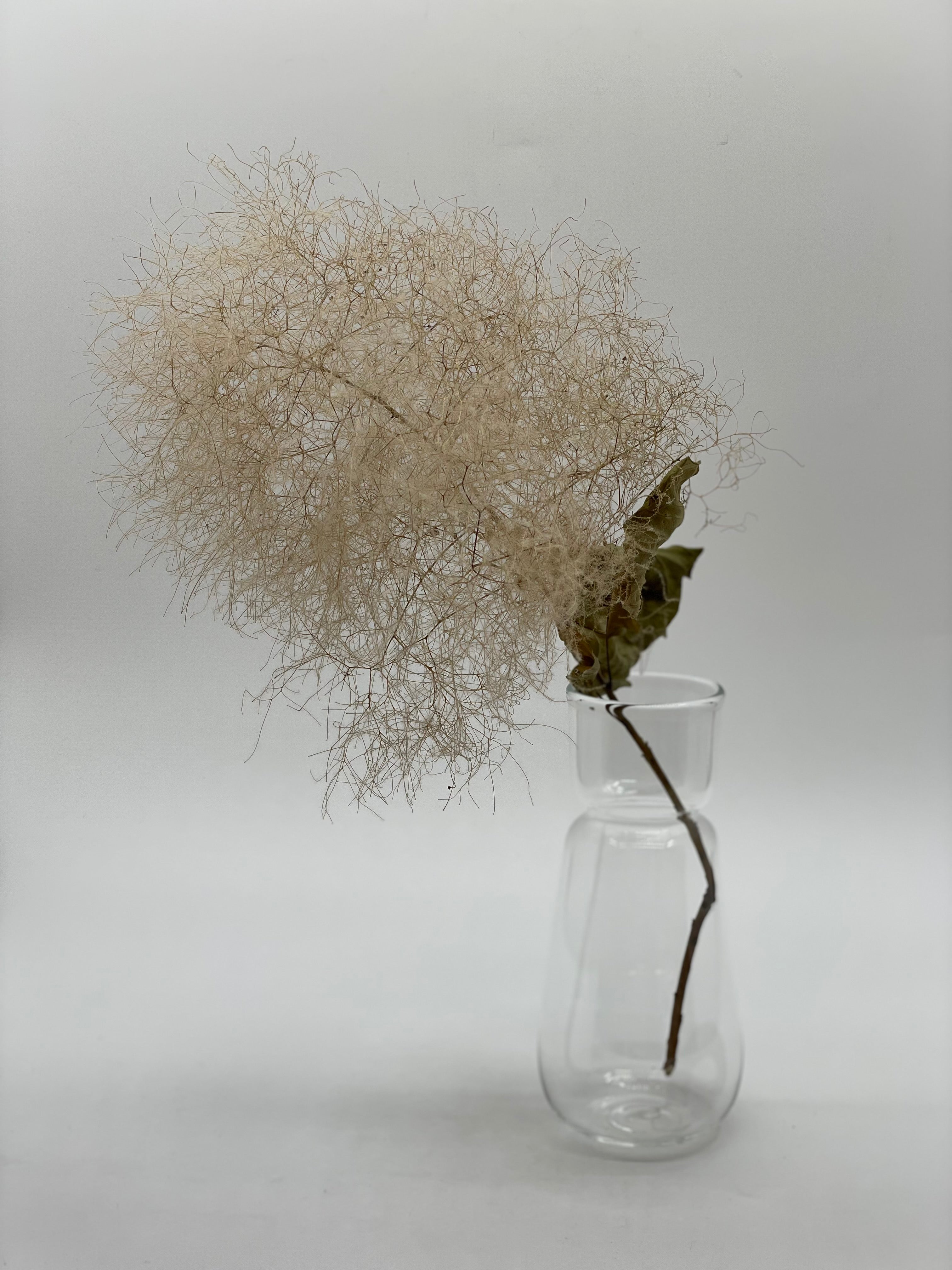 スイセンポット3