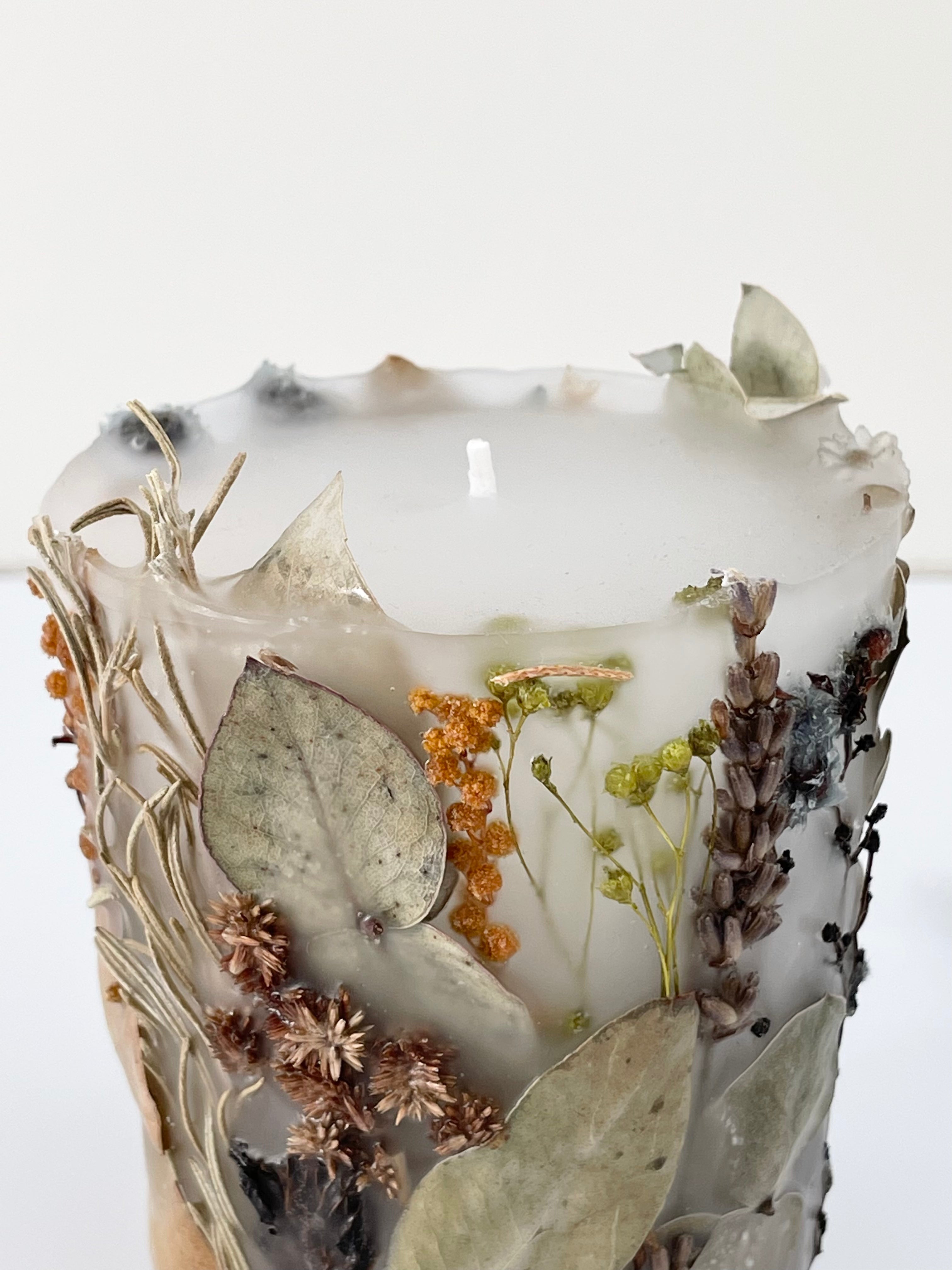 植物標本キャンド2