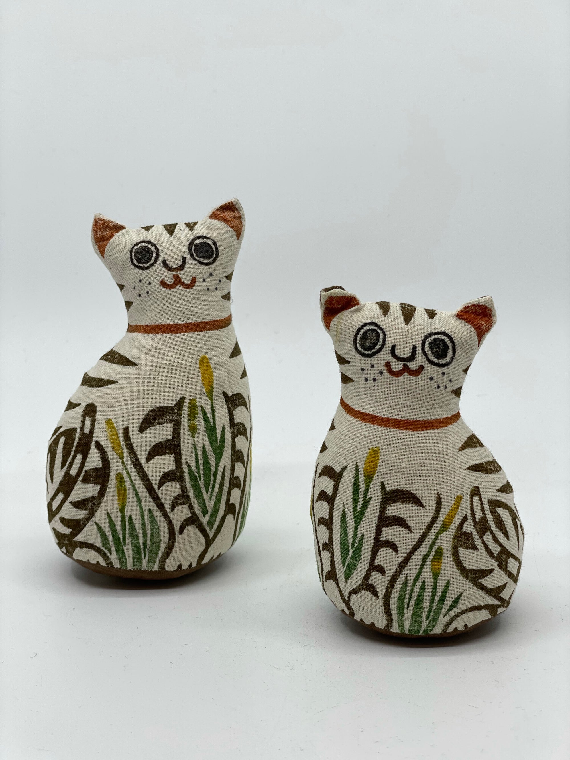 陣屋福猫(親猫)