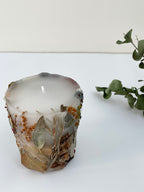 植物標本キャンド3