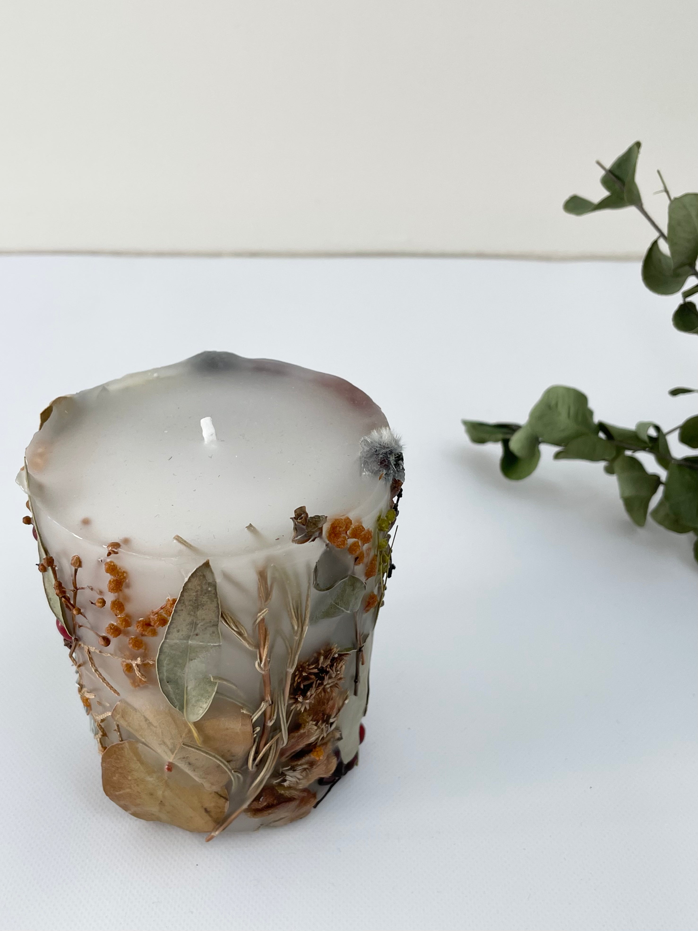 植物標本キャンド3