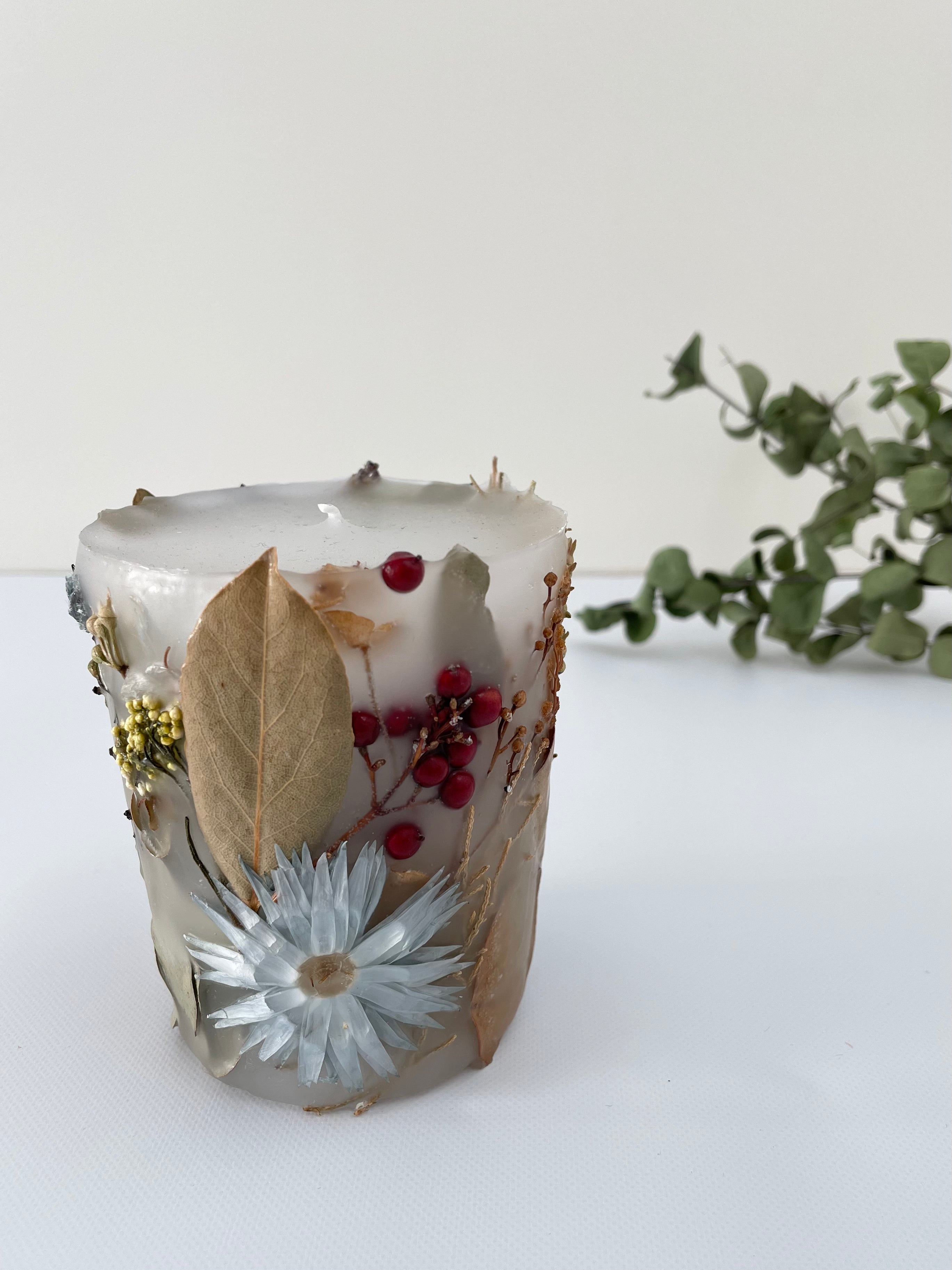 植物標本キャンド2