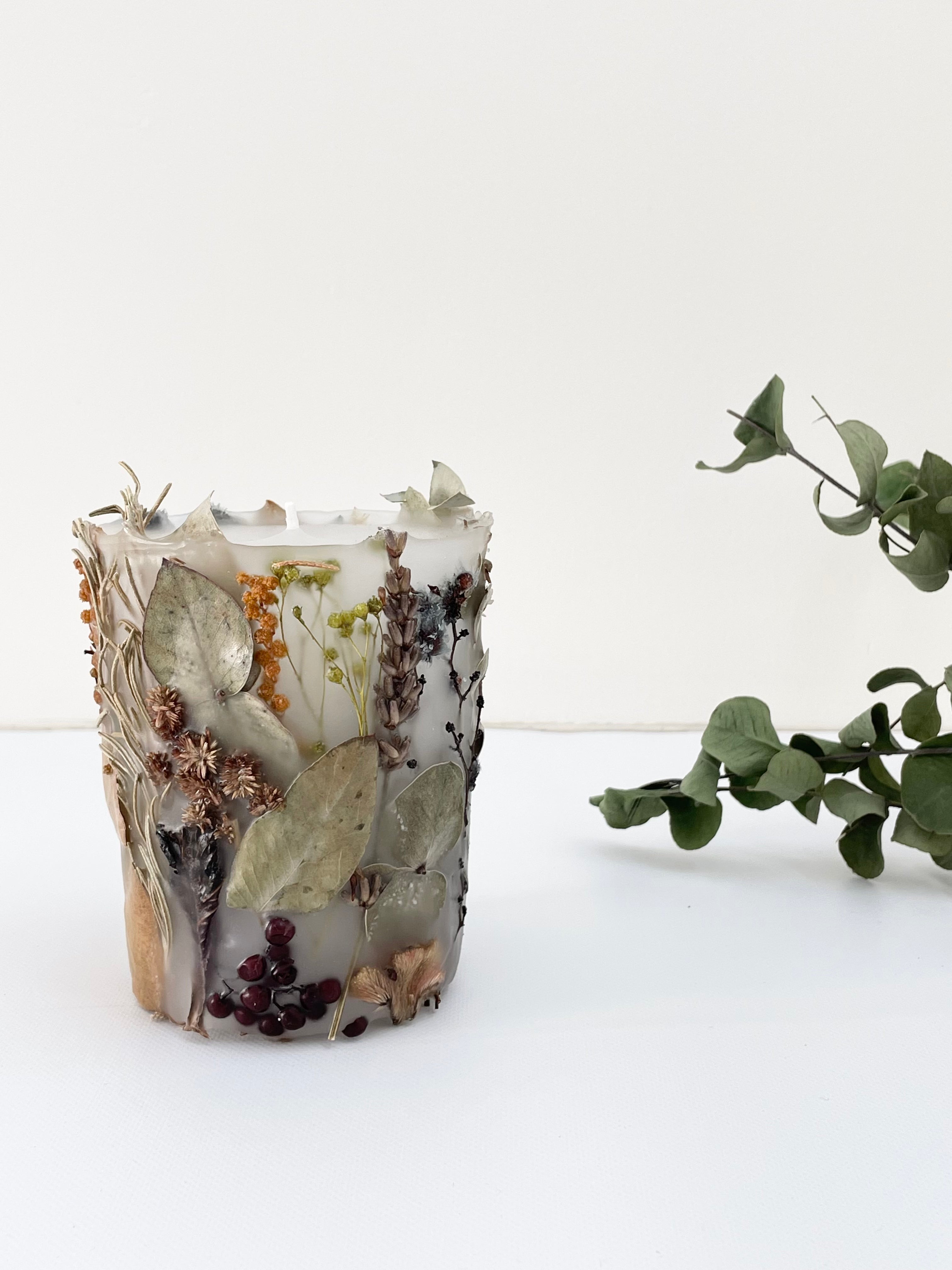 植物標本キャンド2