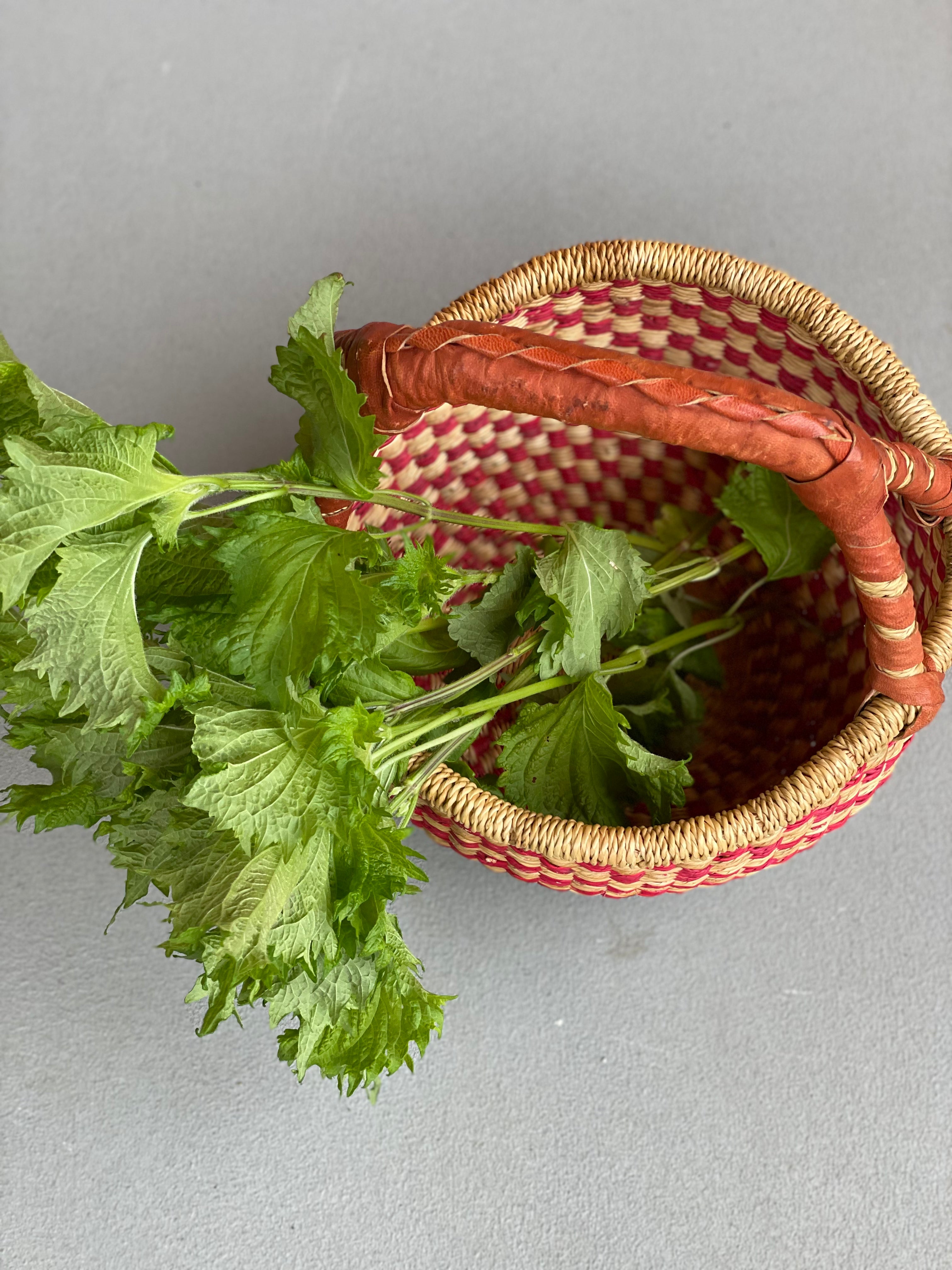 ブルキナカゴ(小)