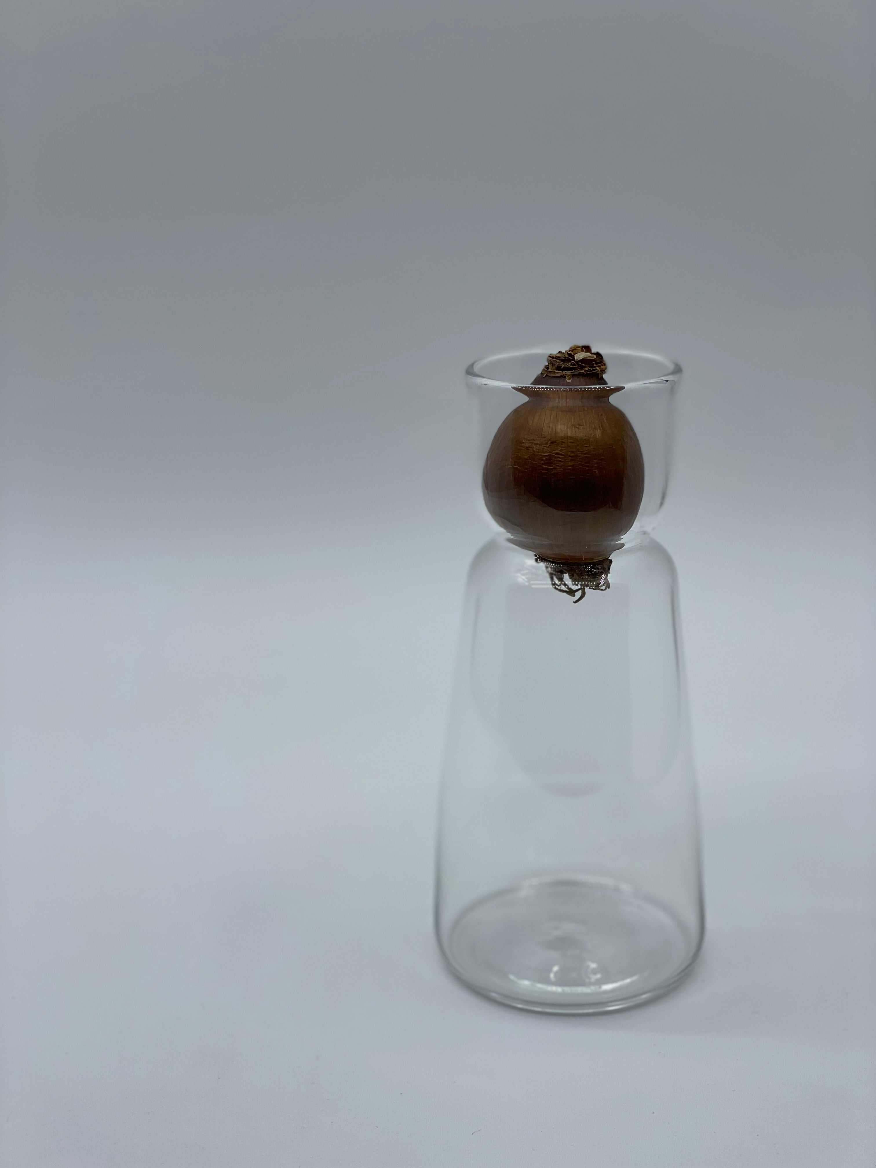 スイセンポット1