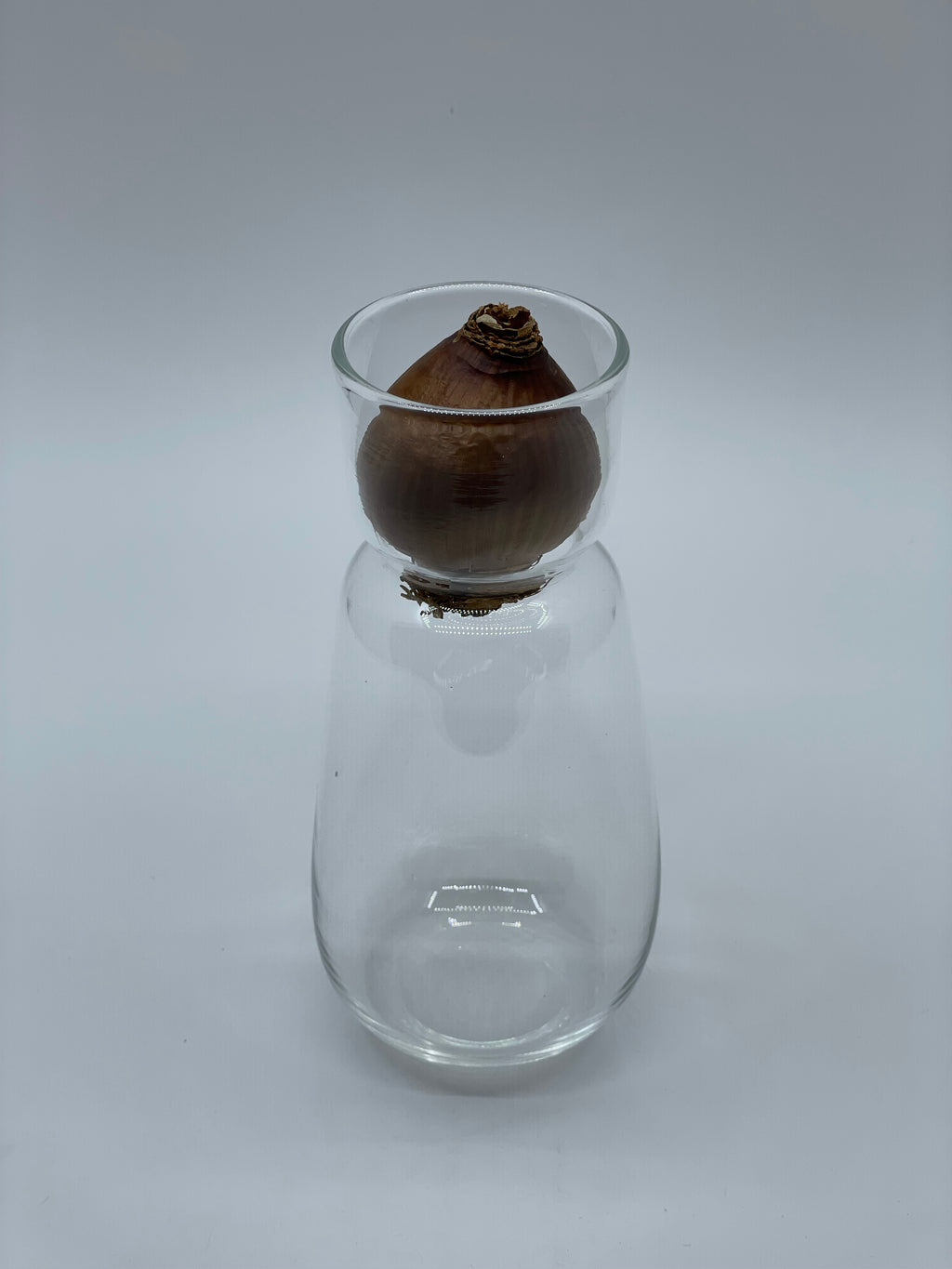 スイセンポット2