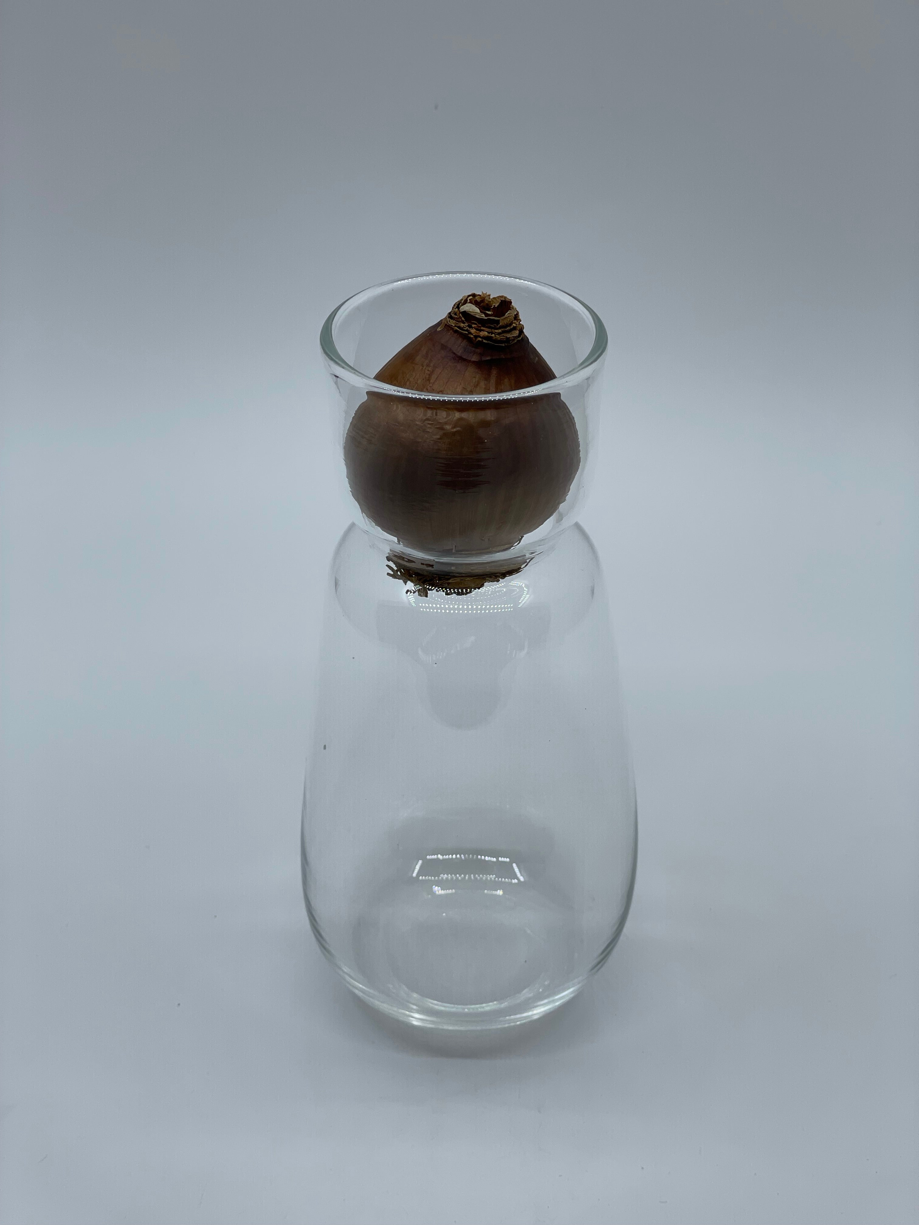 スイセンポット2