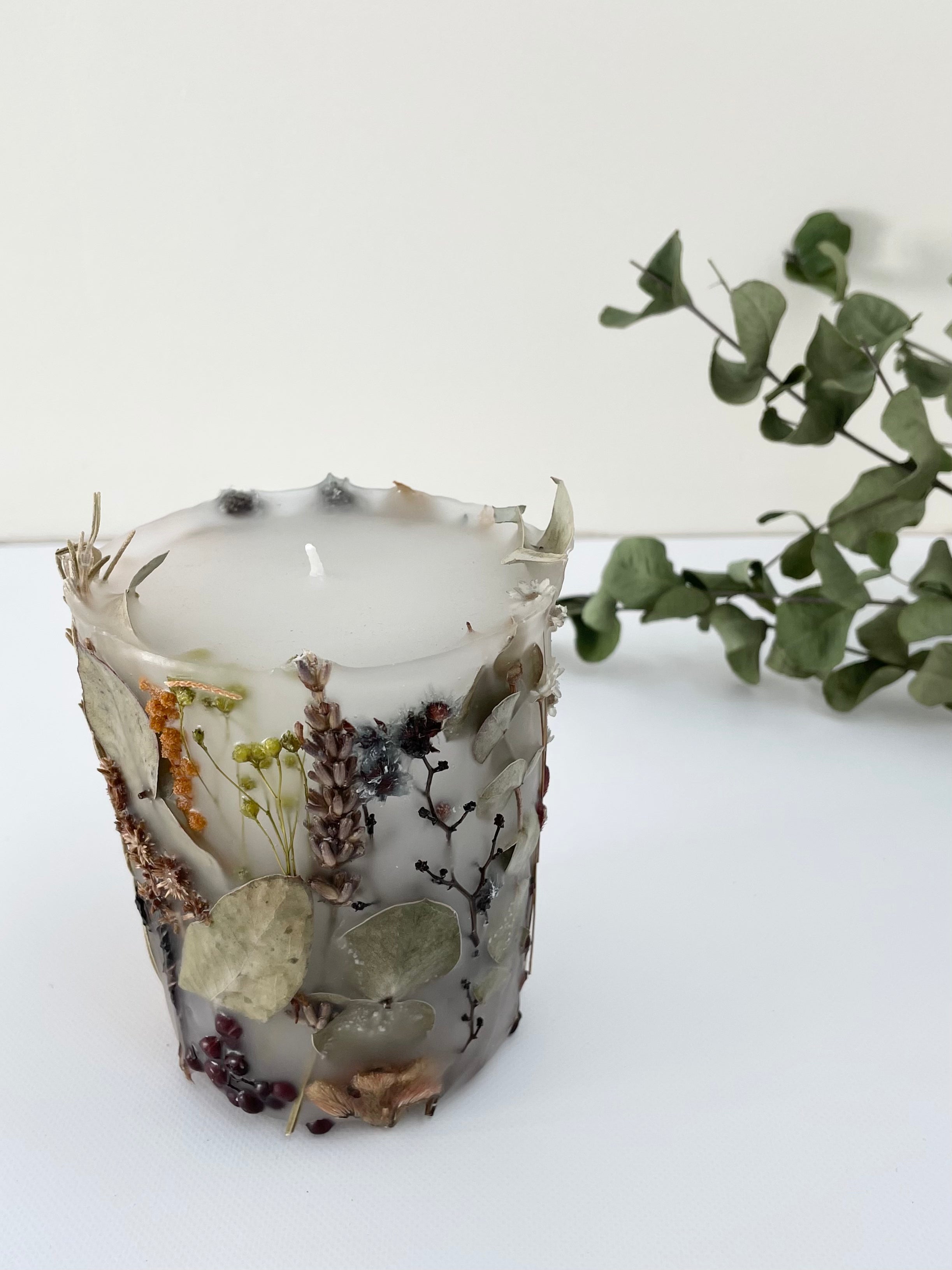 植物標本キャンド1