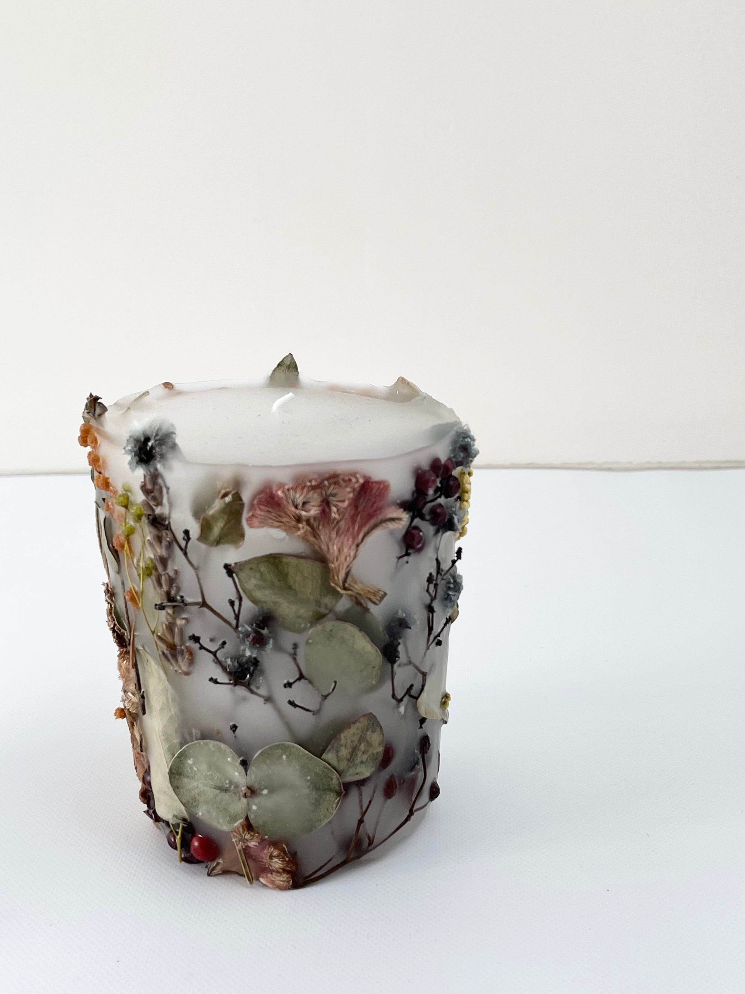 植物標本キャンド3