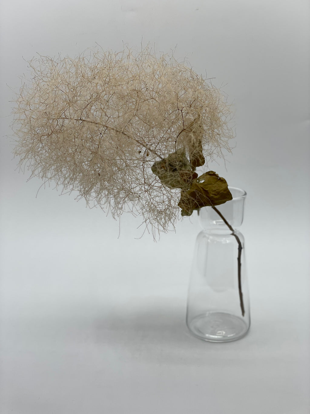 スイセンポット1