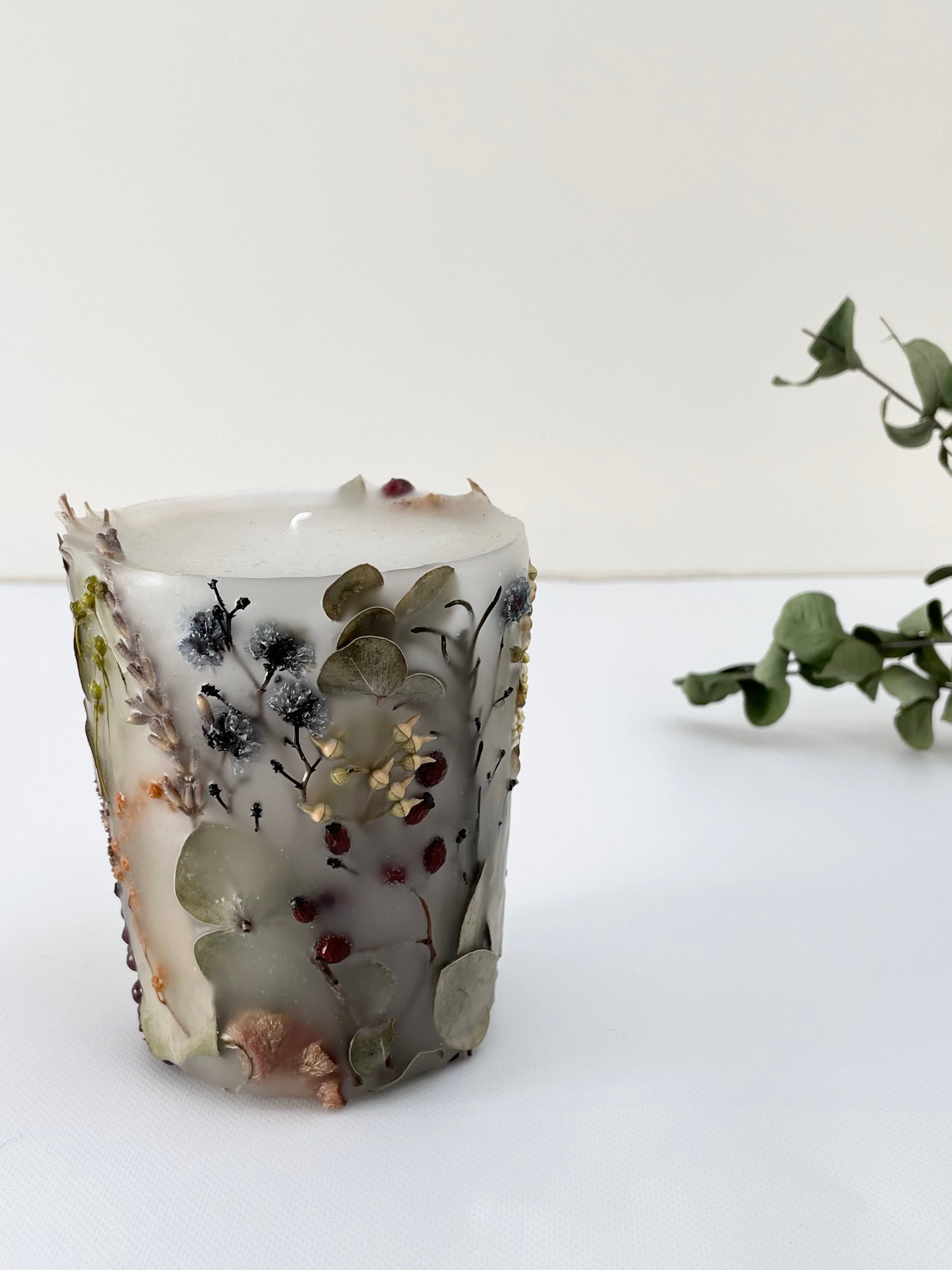 植物標本キャンド2