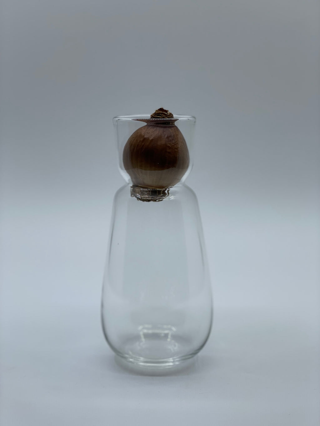 スイセンポット2