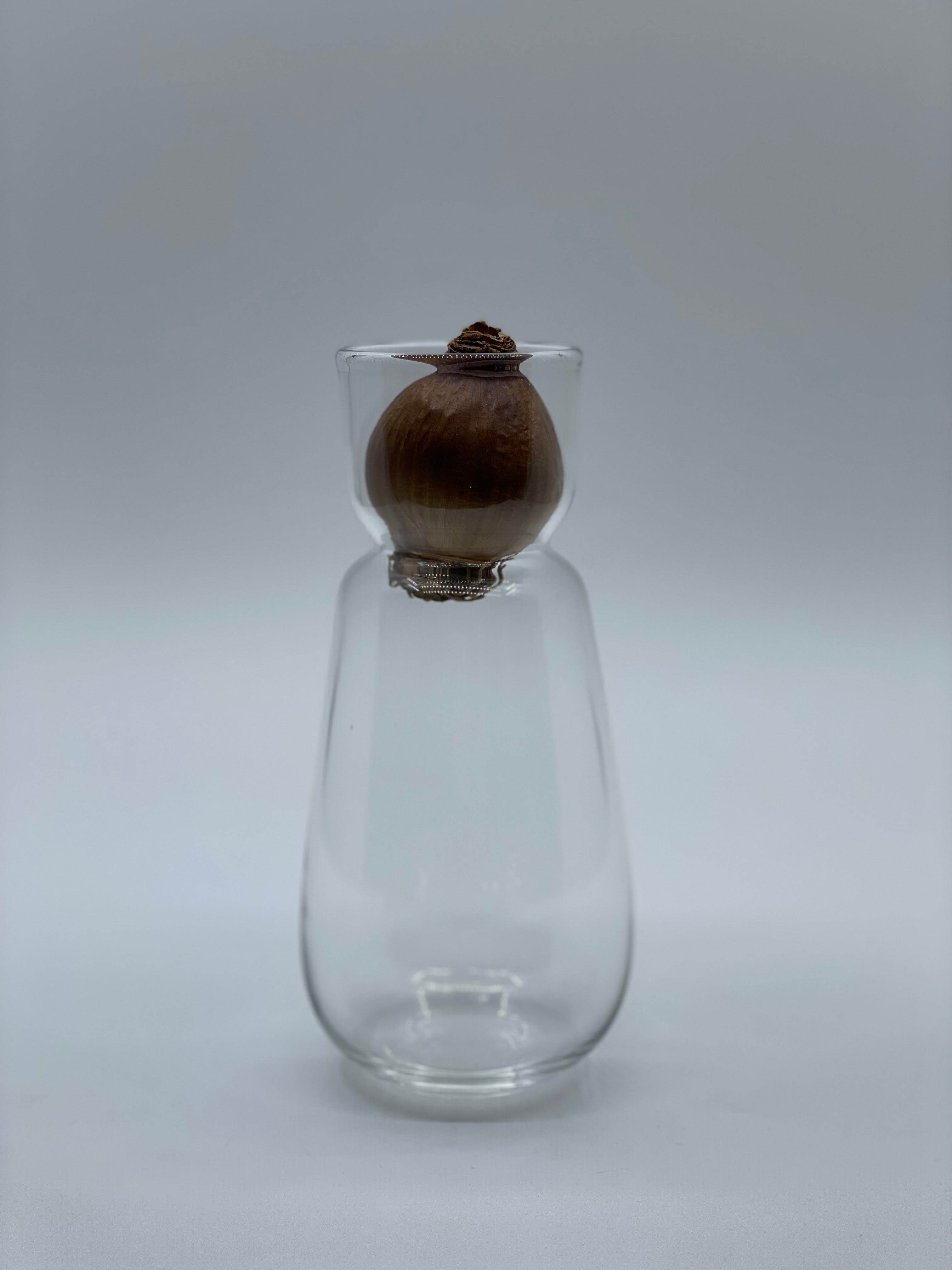 スイセンポット2