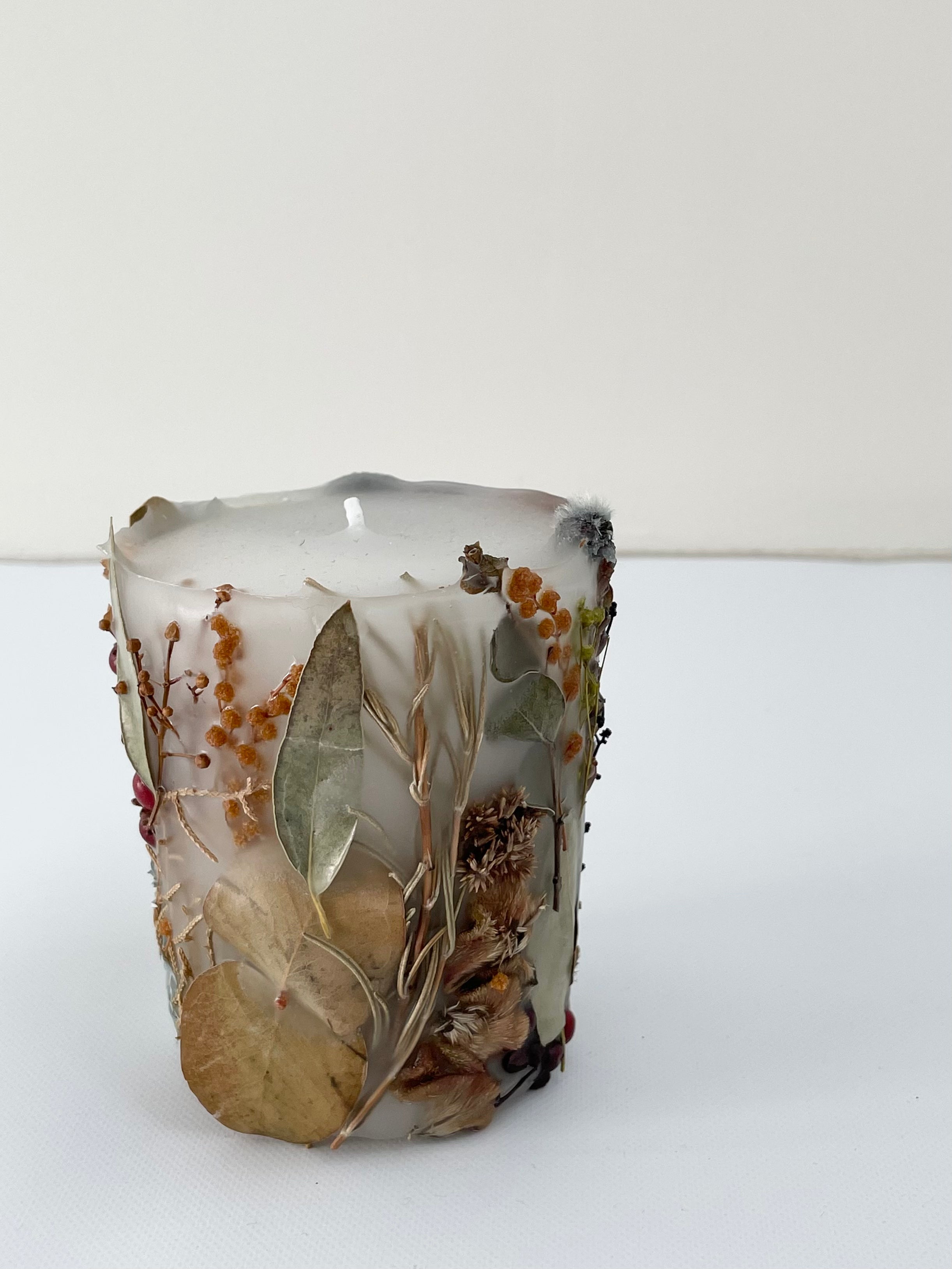 植物標本キャンド3