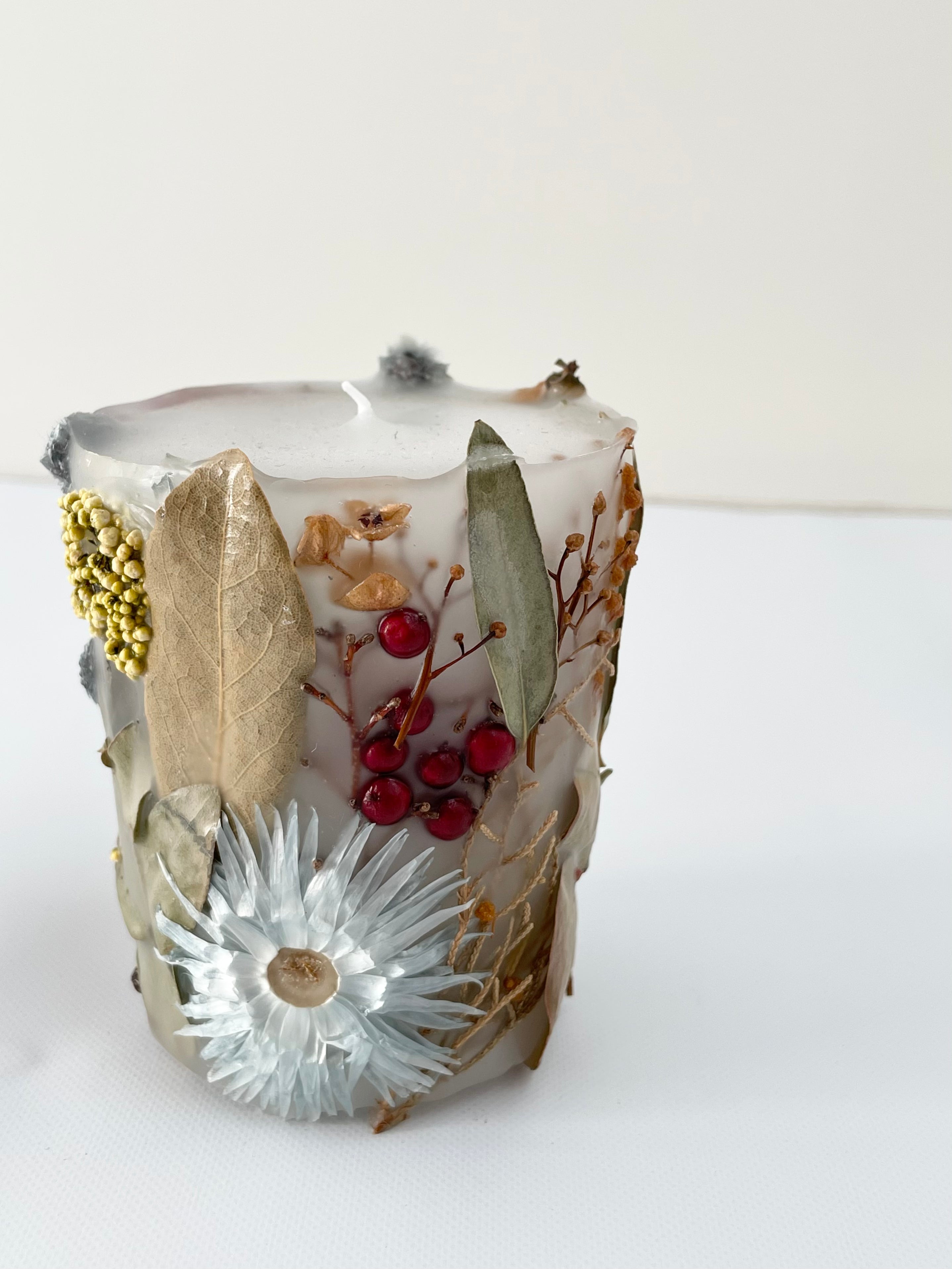 植物標本キャンド3