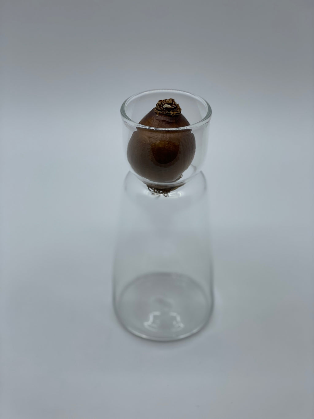 スイセンポット1