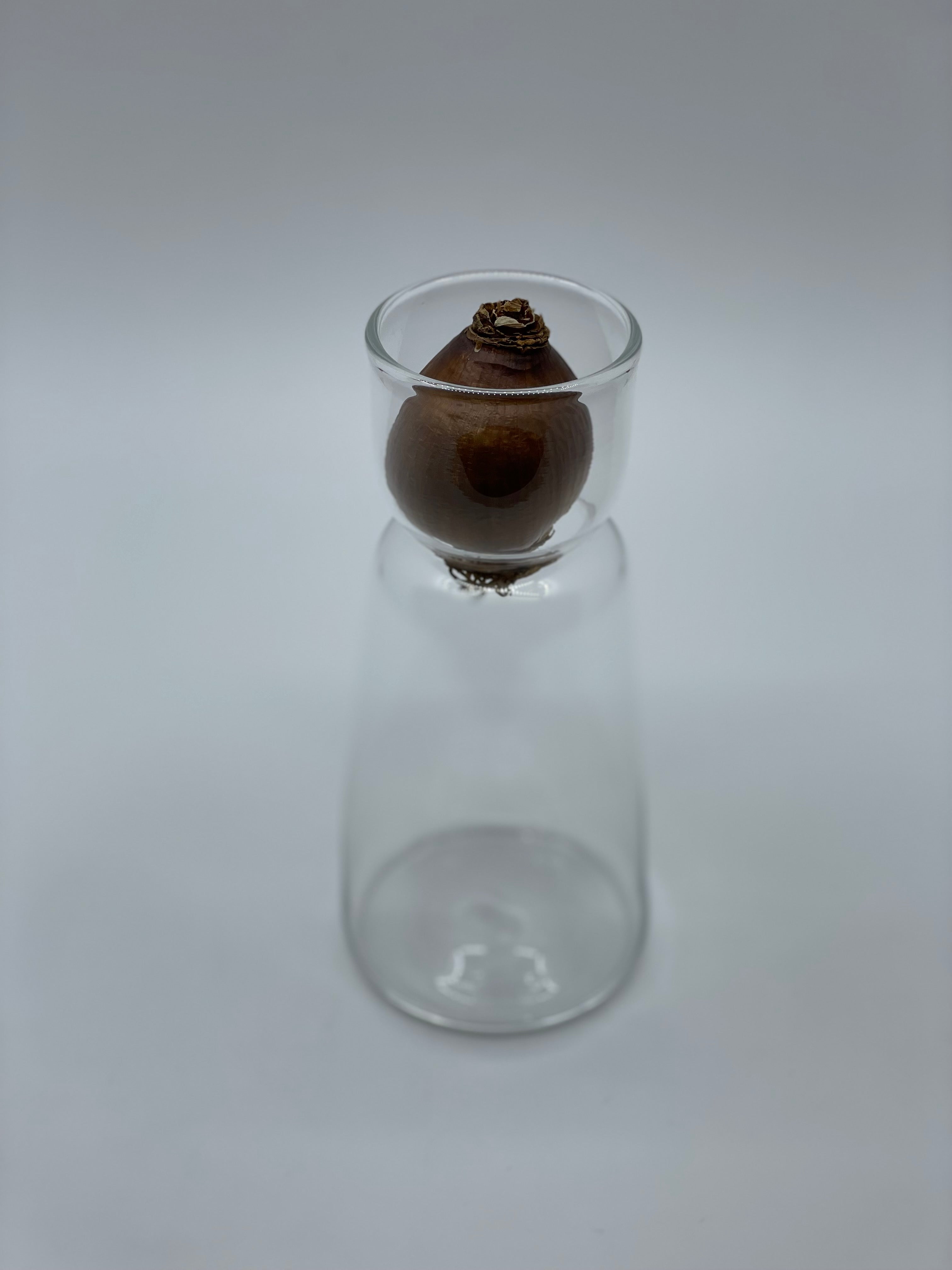 スイセンポット1