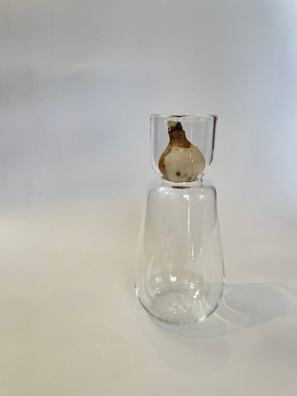 スイセンポット1