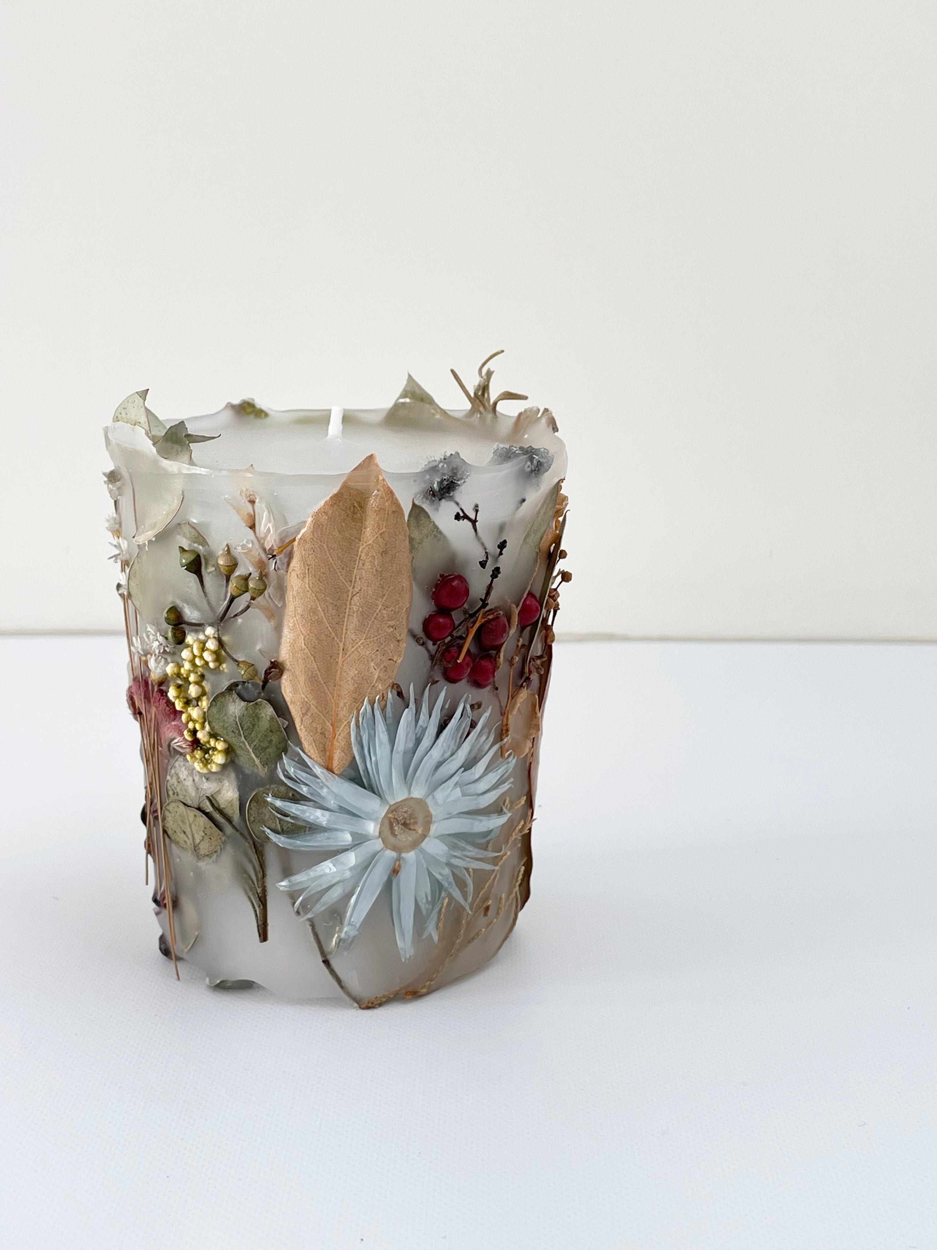 植物標本キャンド1