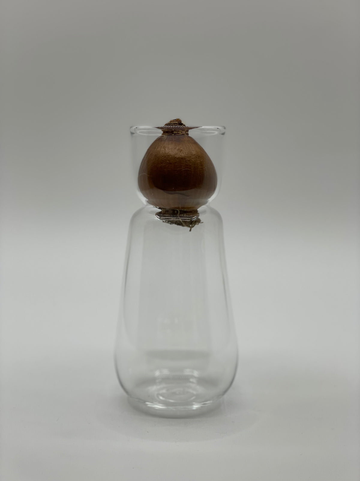 スイセンポット2