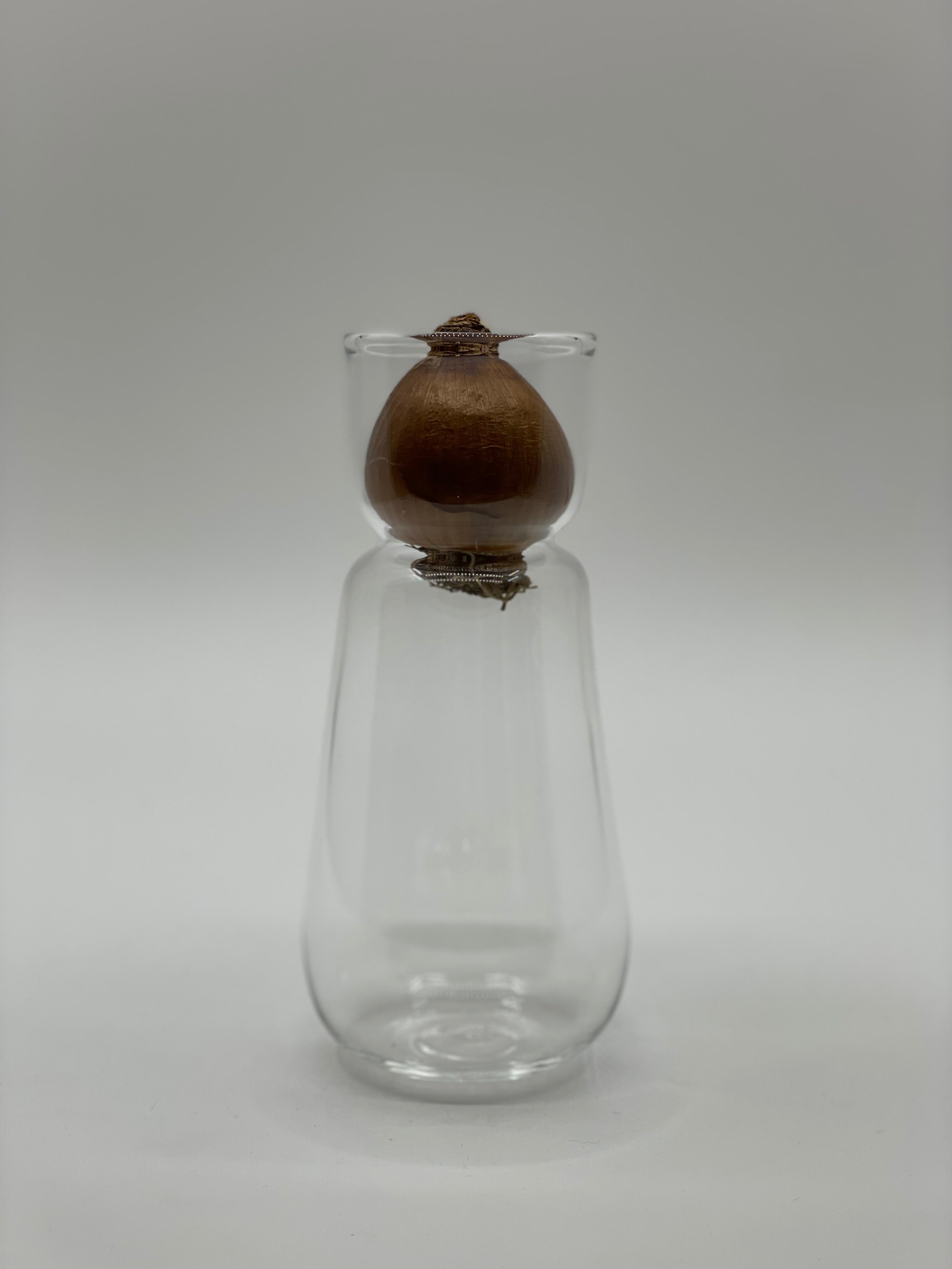 スイセンポット2