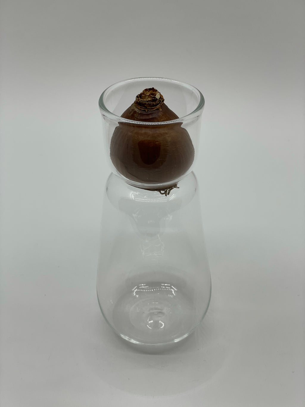 スイセンポット2