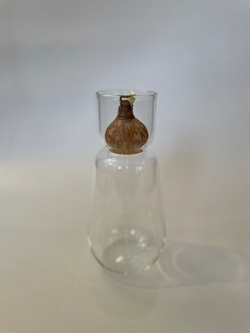 スイセンポット1