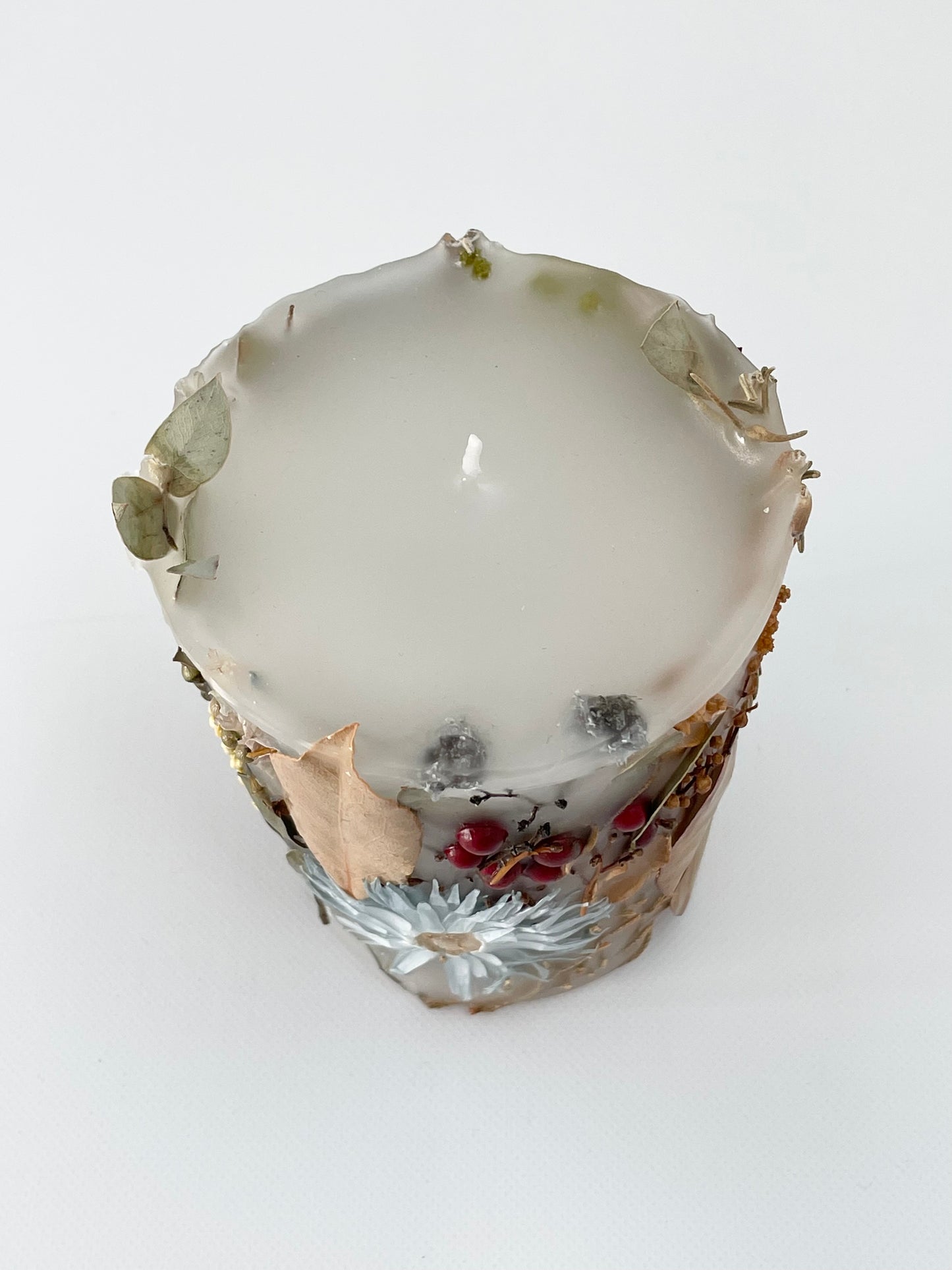 植物標本キャンド1