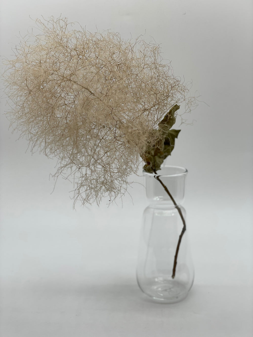 スイセンポット2