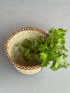 アチョリカゴ（小）