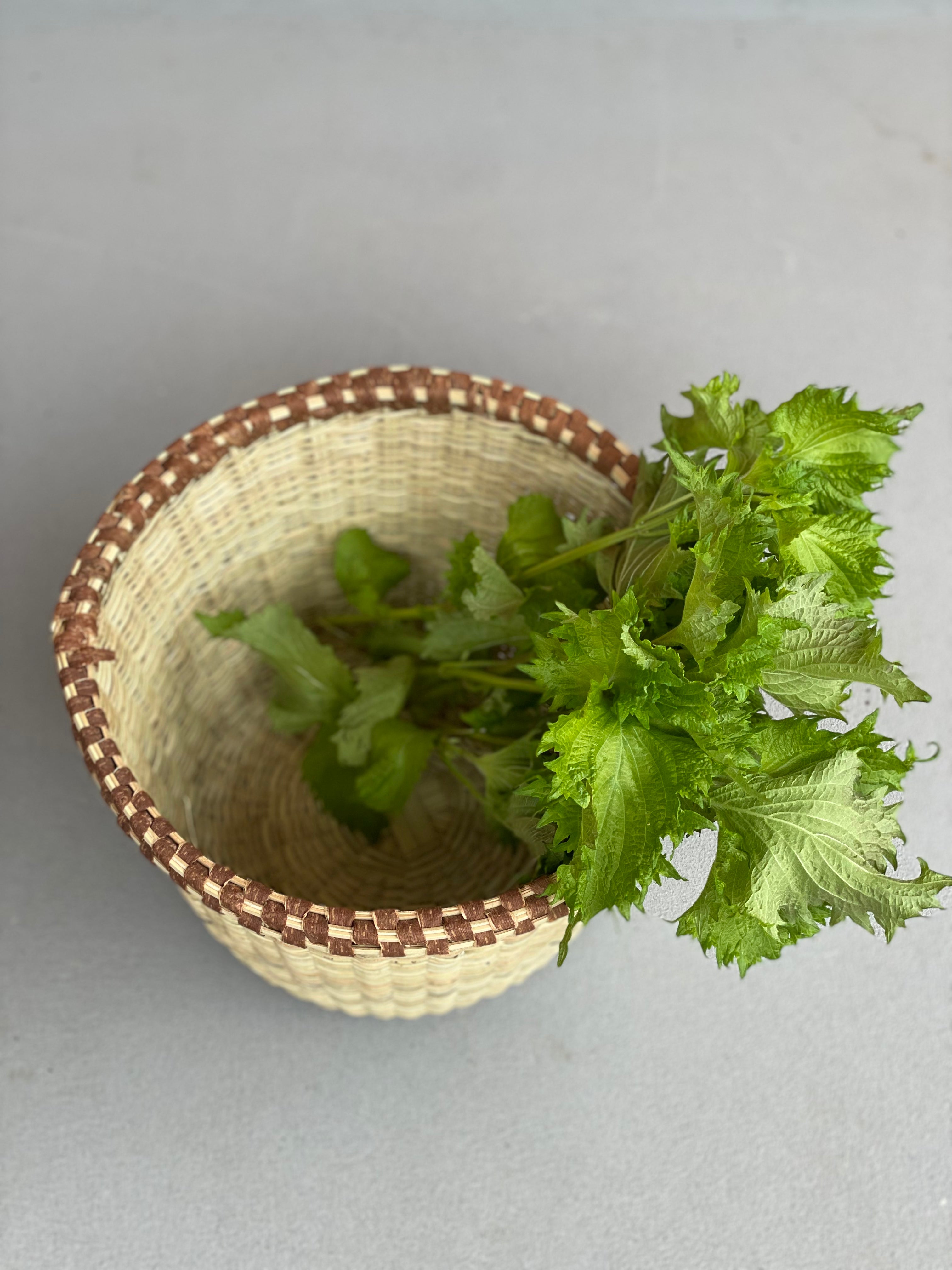 アチョリカゴ（小）