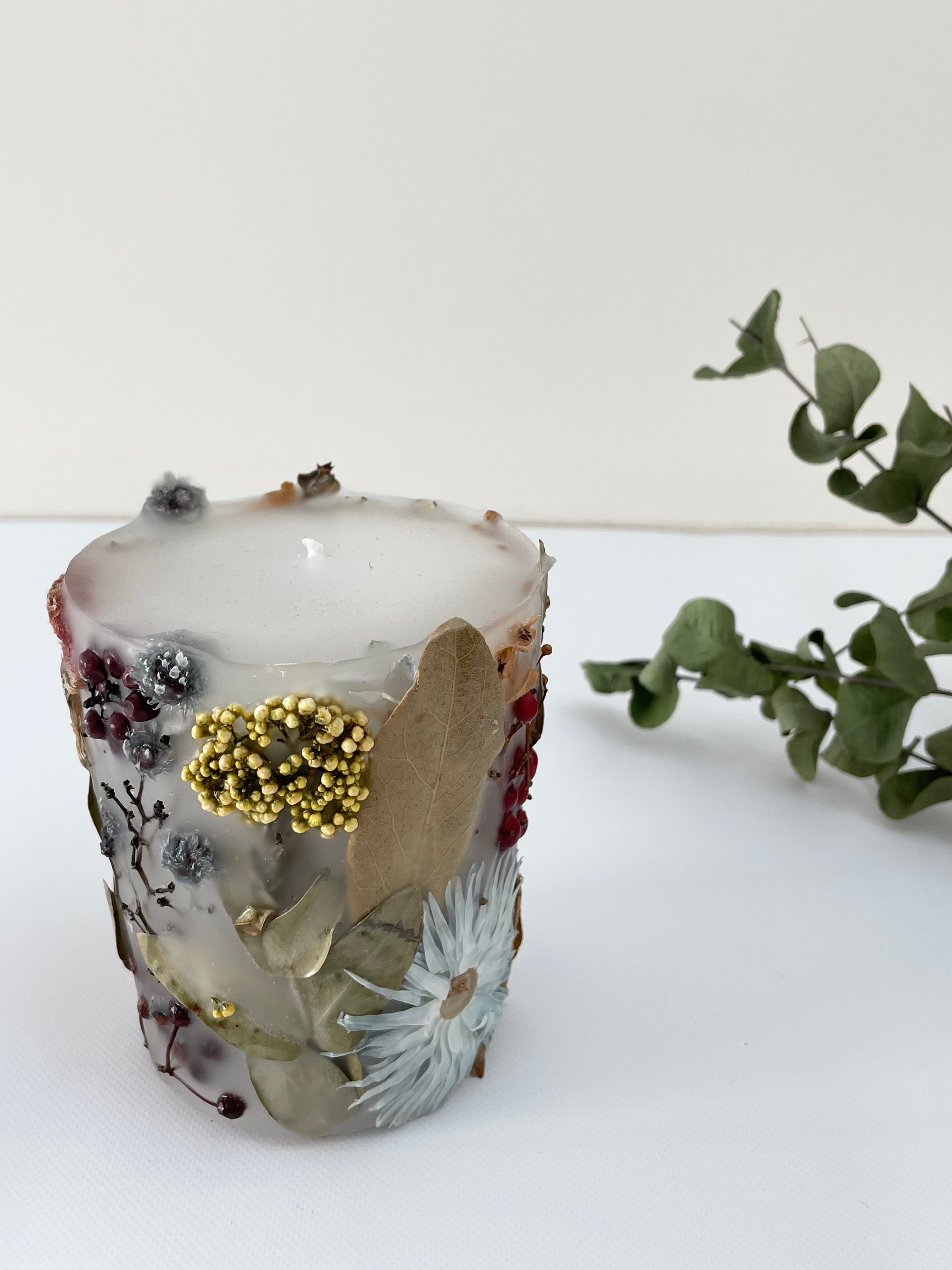 植物標本キャンド3