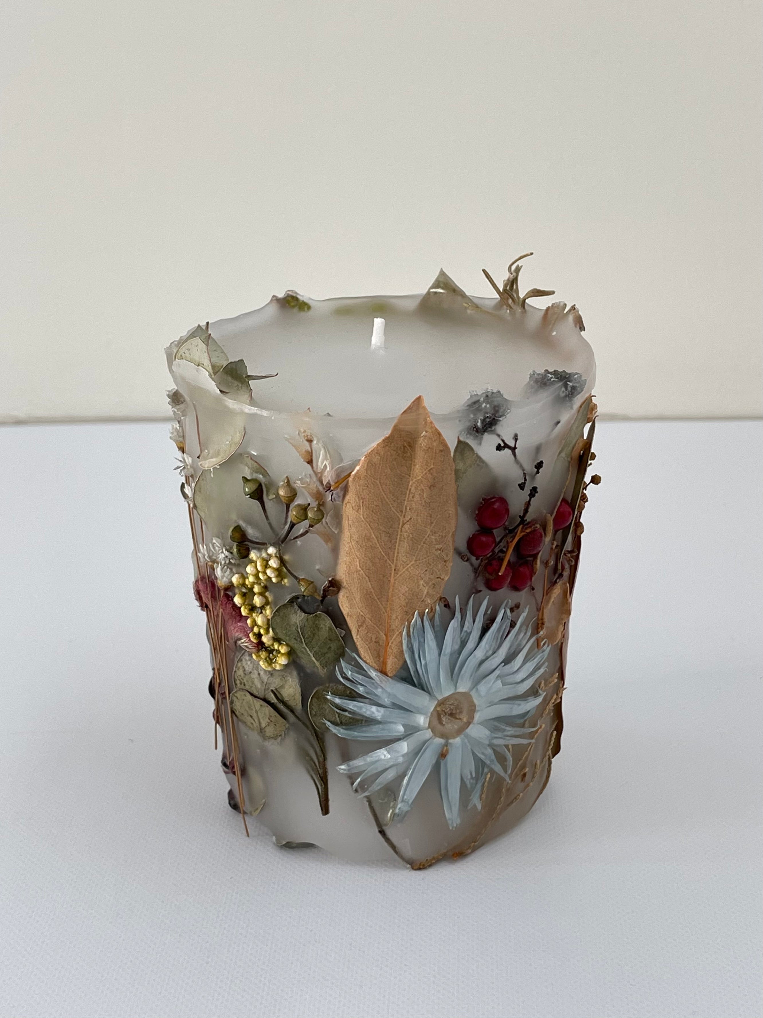 植物標本キャンド1